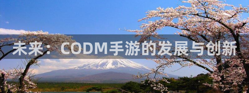 摩根娱乐网址是什么：未来：CODM手游的发展与创新