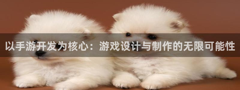 摩根娱乐是正规合法的吗是真的吗：以手游开发为核心：游戏设计与