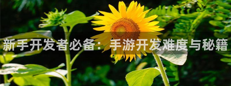 摩根娱乐是正规合法的吗是真的吗知乎：新手开发者必备：手游开发