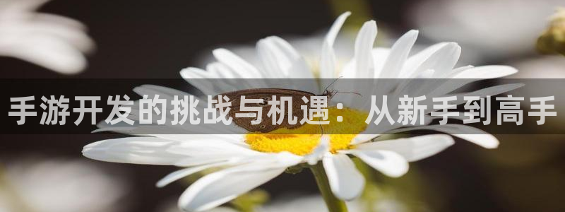 摩根娱乐app下载官网苹果版：手游开发的挑战与机遇：从新手到
