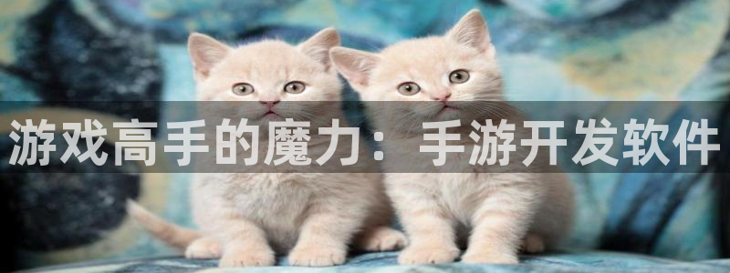 摩根娱乐app下载安装最新版：游戏高手的魔力：手游开发软件