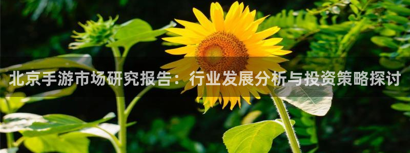 摩根娱乐app下载官网苹果版：北京手游市场研究报告：行业发展