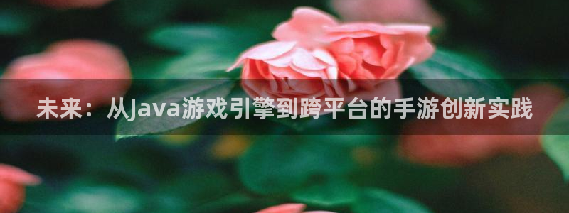 摩根娱乐会所：未来：从Java游戏引擎到跨平台的手游创新实践