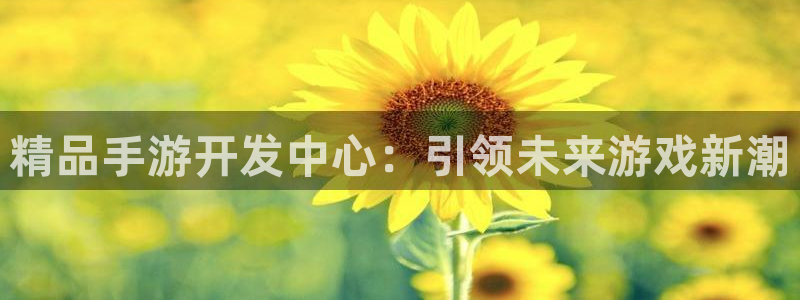 摩根娱乐云挂机教程：精品手游开发中心：引领未来游戏新潮